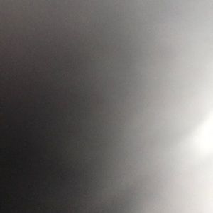 Meet your Posher, Bailey